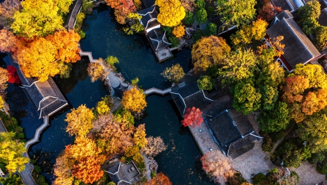 1697513402484799.jpg 拙政园 (2).jpg